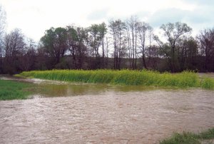 poplave-njive-oranice-1398289039-485101